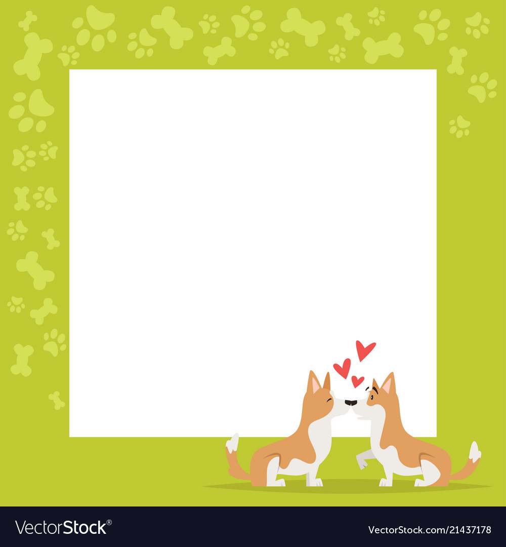 Video and photo frame background Royalty Free Vector Image