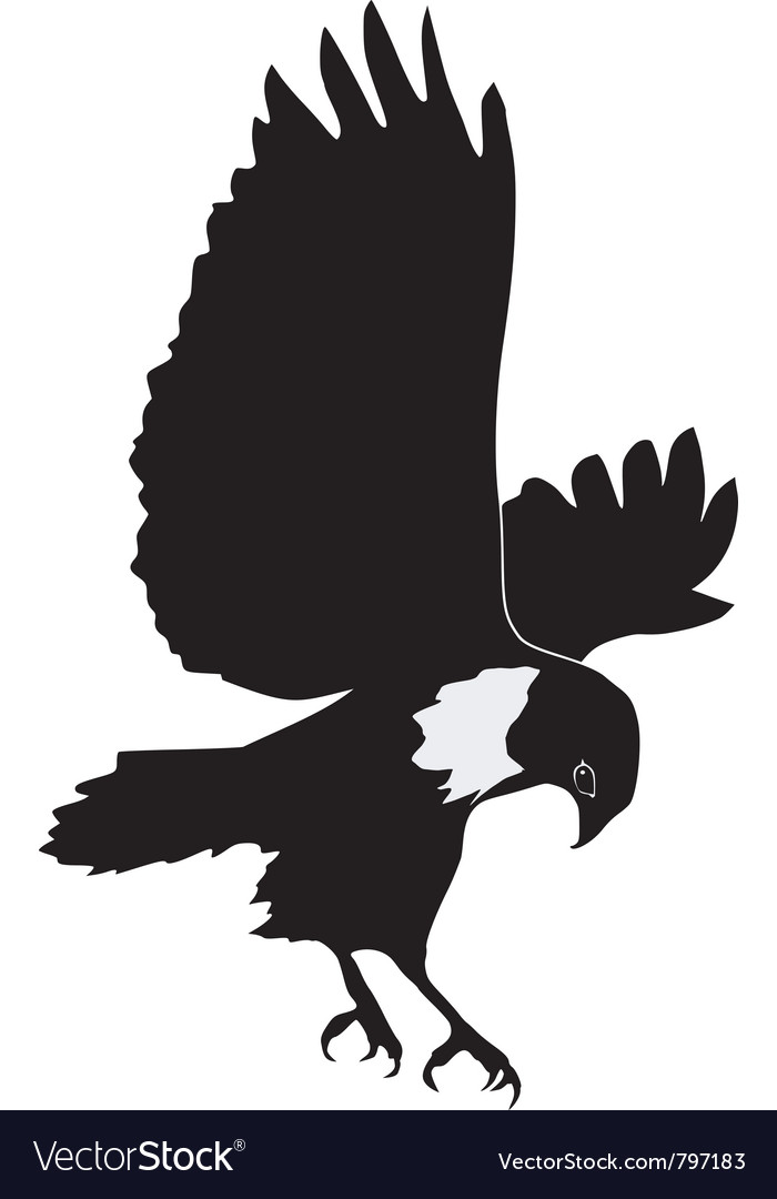 Buzzard Silhouette
