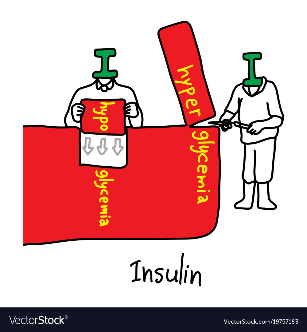 Metaphor main function of insulin