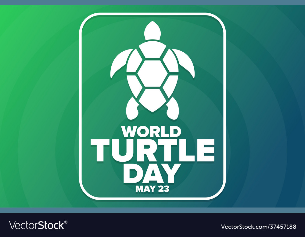 World turtle day may 23 holiday concept Royalty Free Vector