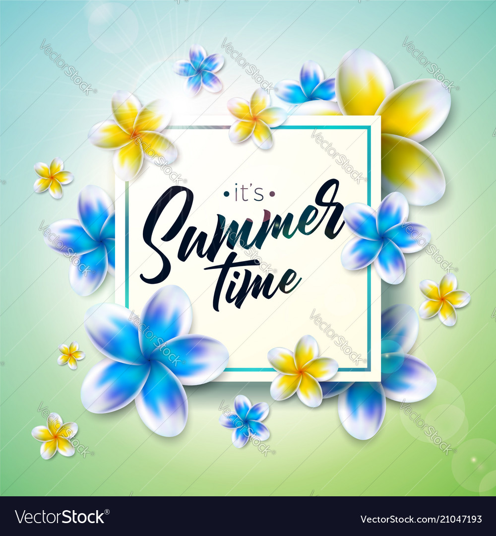 Its summer time Royalty Free Vector Image - VectorStock