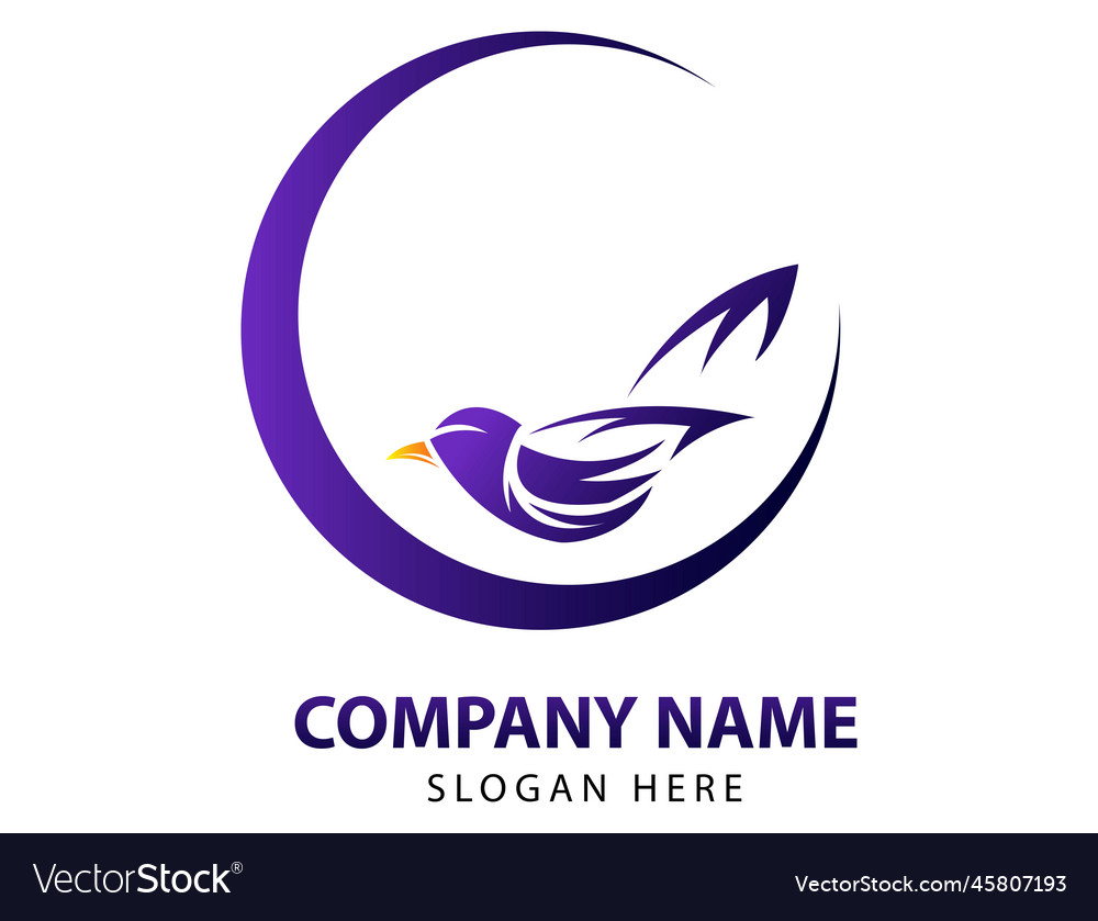 Web Royalty Free Vector Image - VectorStock