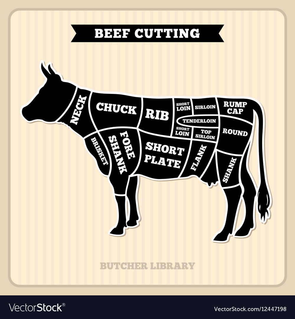 Beef cow cuts butcher diagram Royalty Free Vector Image