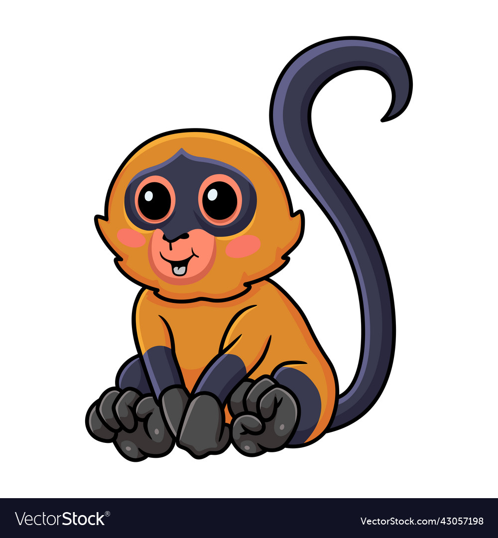 Cute spider monkey cartoon sitting Royalty Free Vector Image