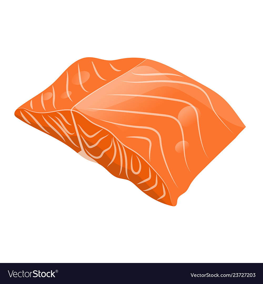 Fish steak of salmon isolated Royalty Free Vector Image