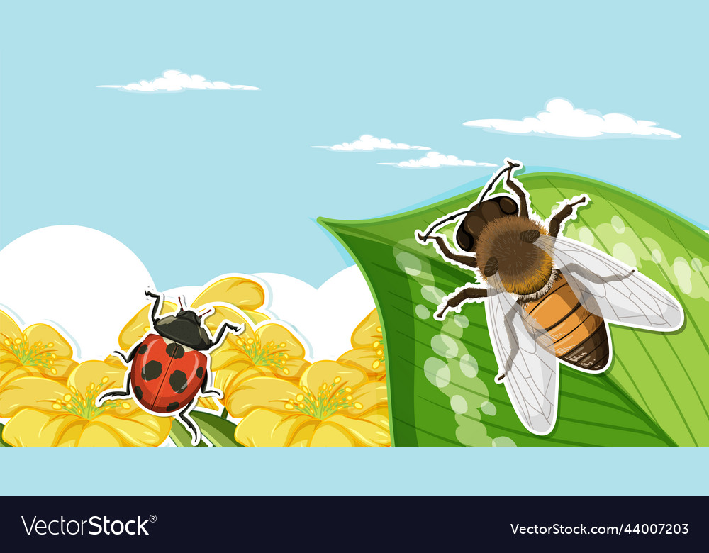 Thumbnail design with bee on leaf and ladybug vector image Thumbnail design with bee on leaf and ladybug