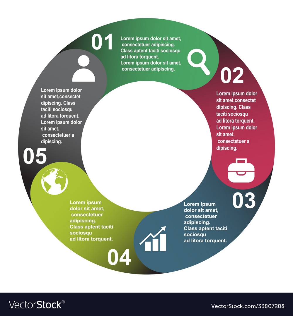 5 steps element in five colors with labels vector image 5 steps element in five colors with labels