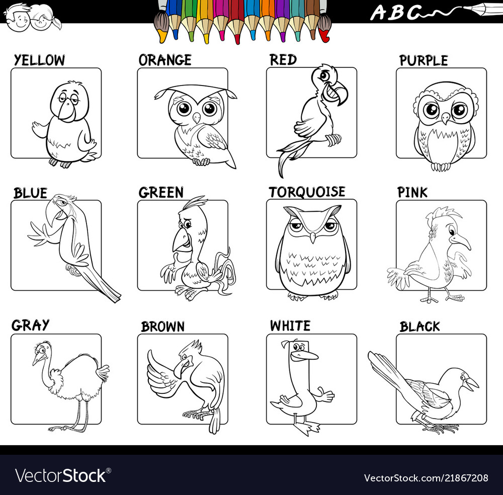 Educational basic colors set coloring book Vector Image