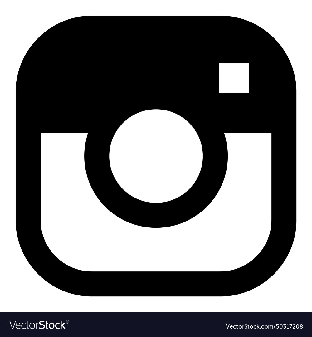 Instagram flat icon isolated on white background Vector Image