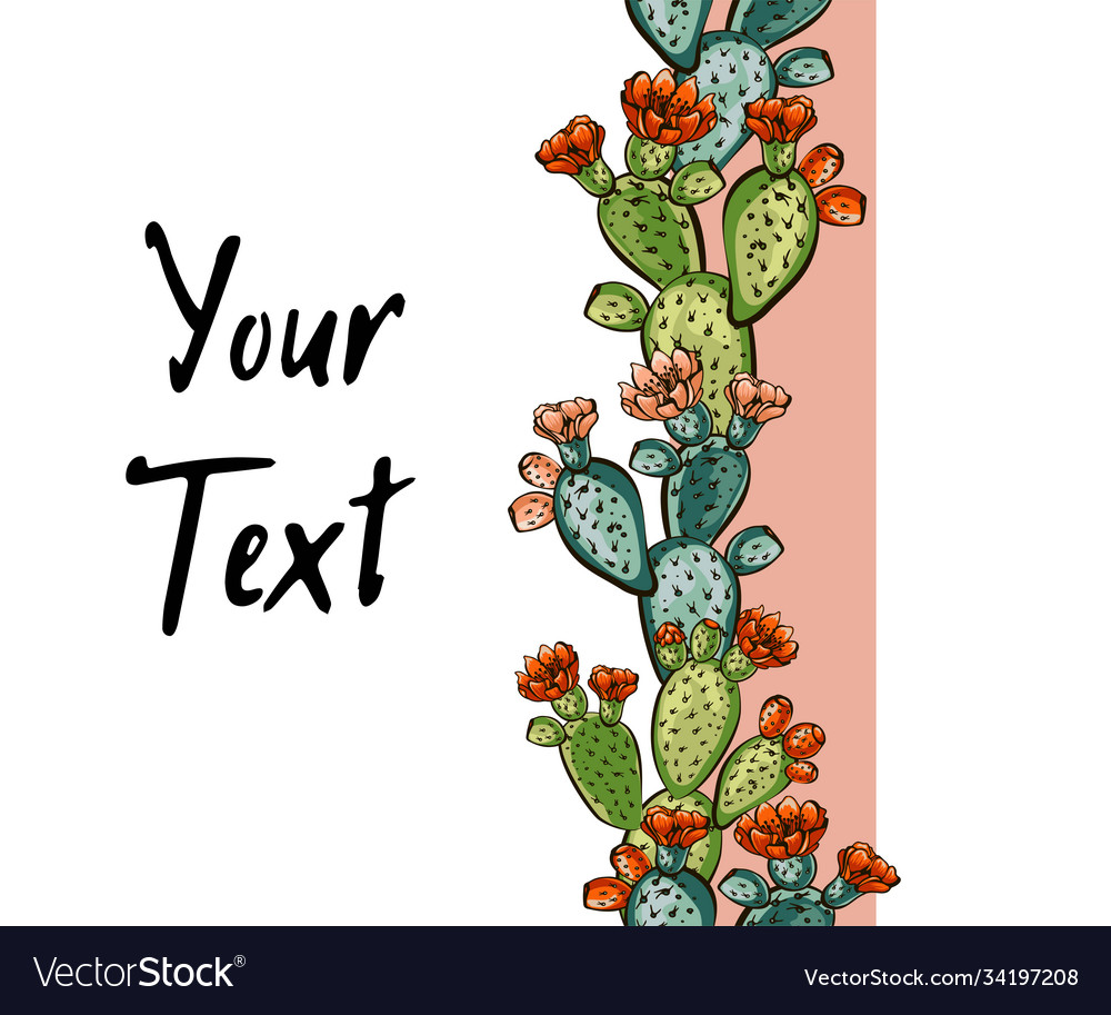 Web banner template pattern wreath cacti vector image Web banner template pattern wreath cacti