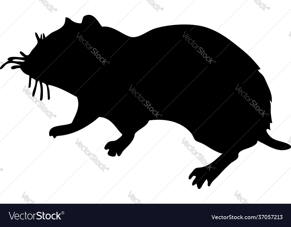 Hamster silhouette Royalty Free Vector Image - VectorStock