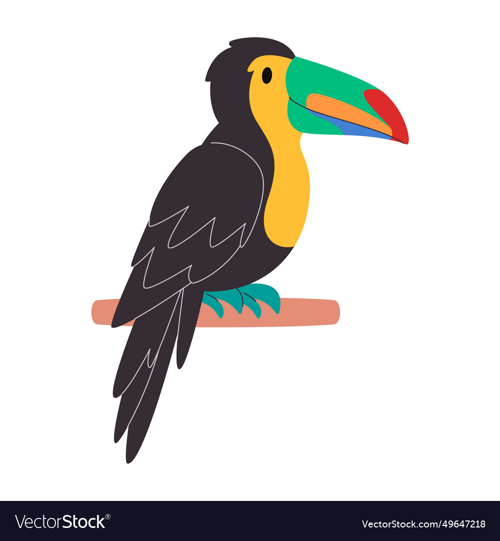 Black body and colorful beak bird keel billed