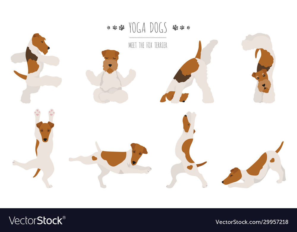 Yoga Dogs Poses & Exercises