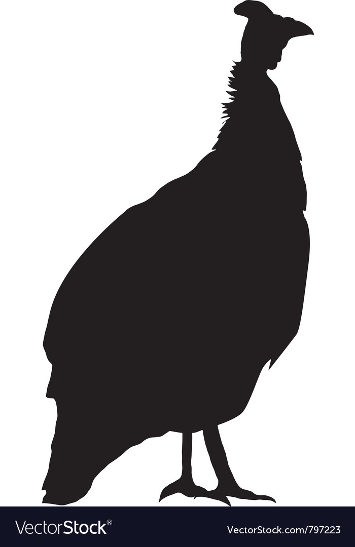 Guinea Fowl Silhouette
