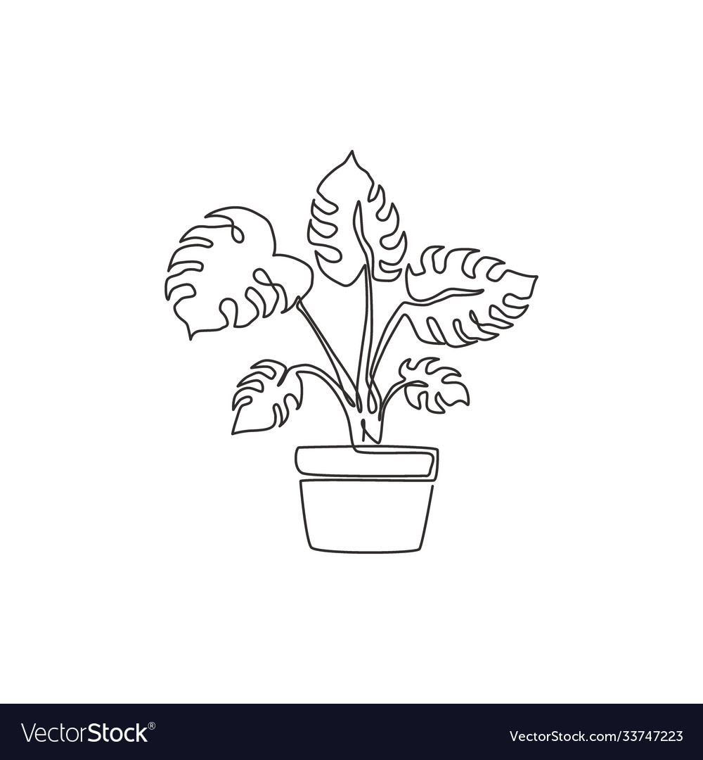 One continuous line drawing beauty potted Vector Image