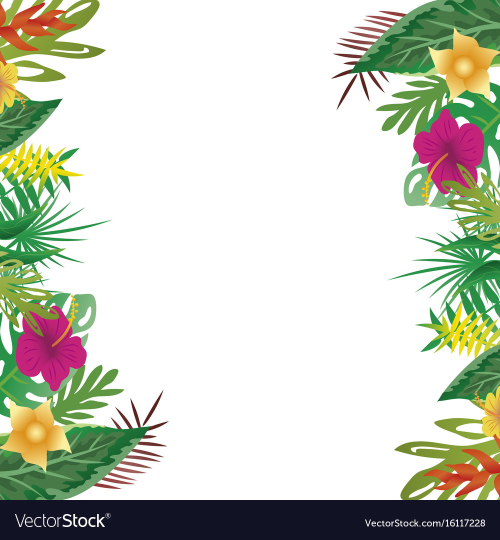 Floral And Leaves Of Summer With Copy Space Vector Image