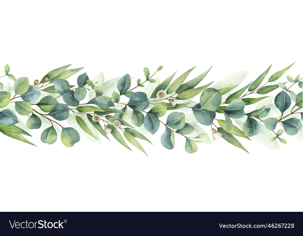 Watercolor eucalyptus green seamless border Vector Image