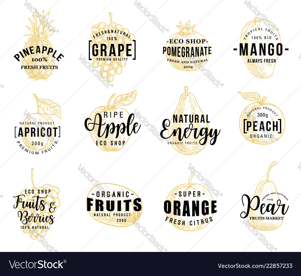 Fruits and berry lettering icons vector image Fruits and berry lettering icons