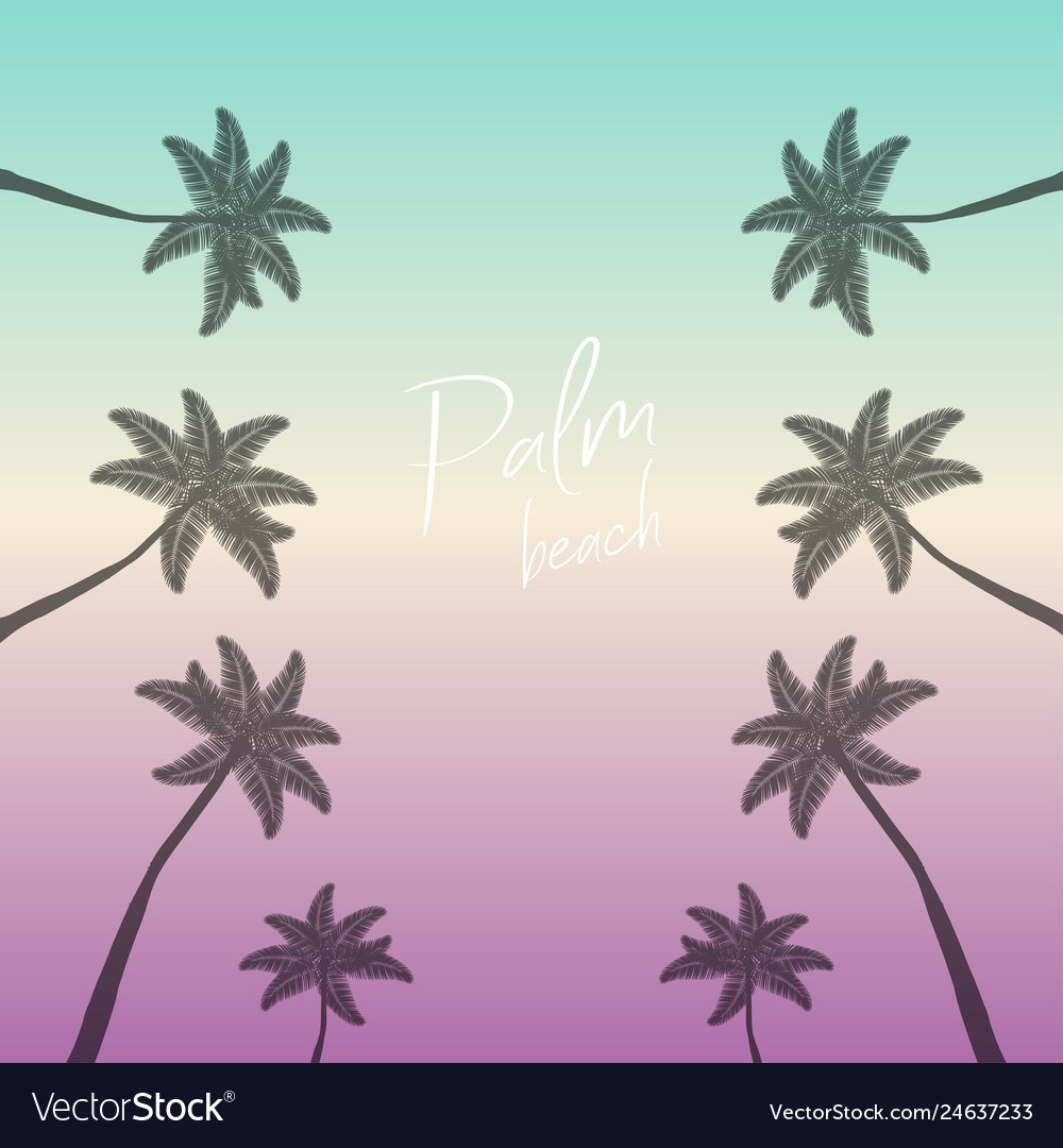 Palm beach palms background trees with text