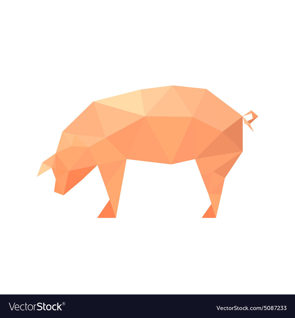 Polygon-Pig