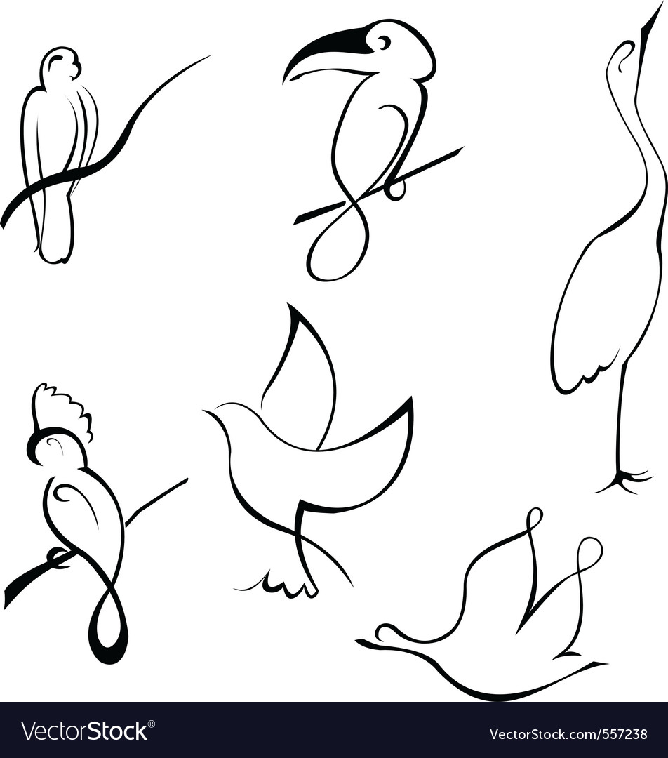 Elegant Bird Line Art Collection