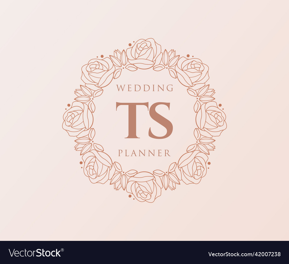 Ts initials letter wedding monogram logos Vector Image