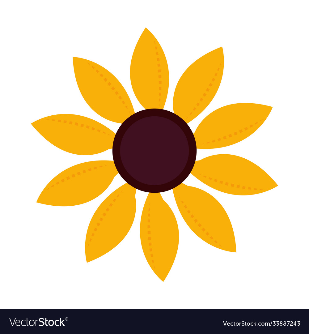 Nature decoration sunflower floral icon