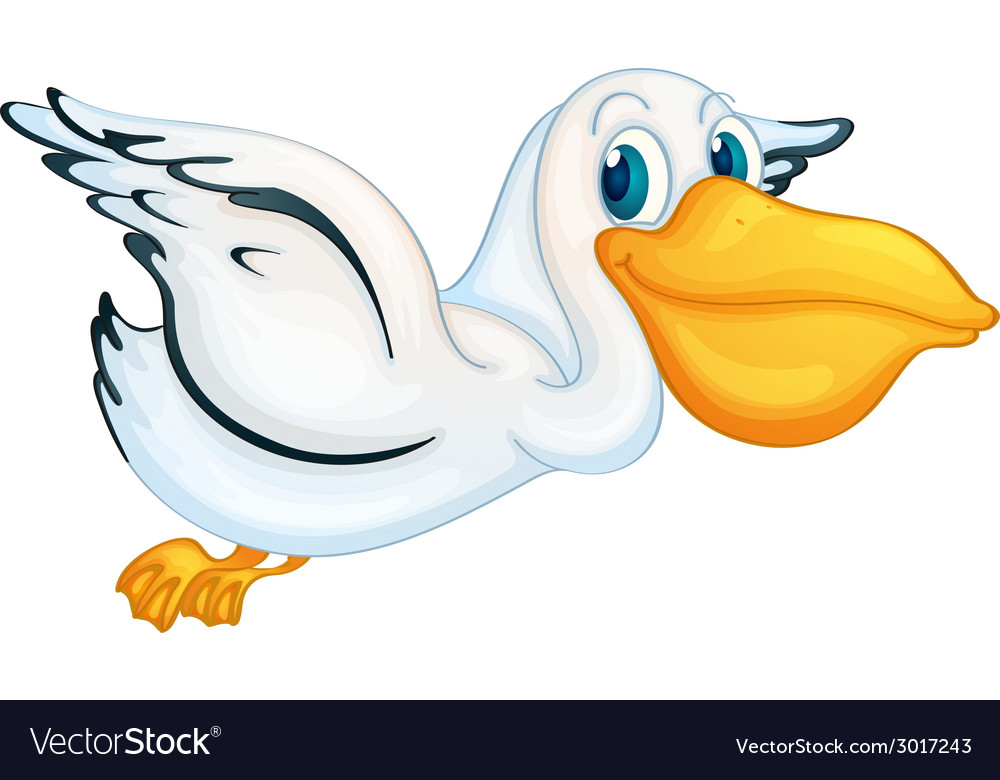 Pelican Royalty Free Vector Image - VectorStock