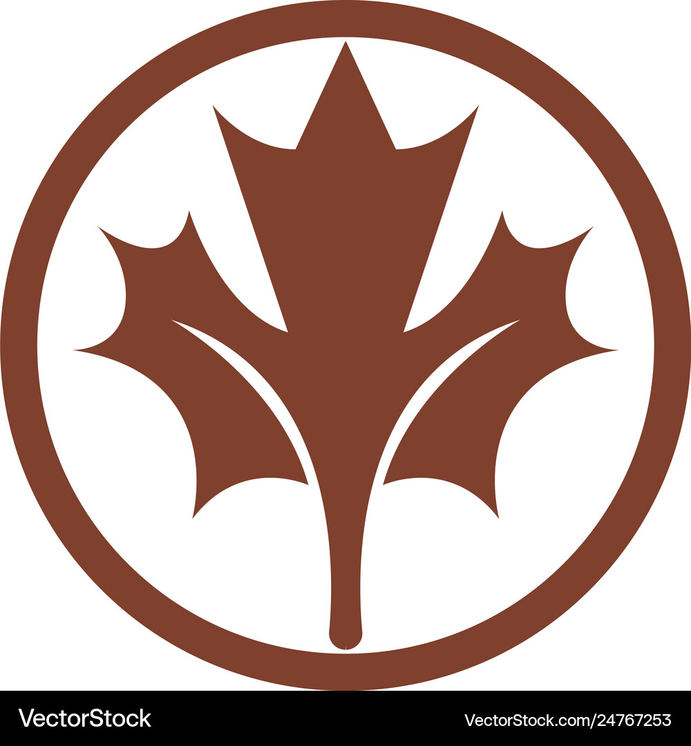 Maple leaf Royalty Free Vector Image - VectorStock