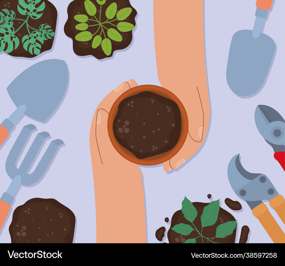 Pretty planting Royalty Free Vector Image - VectorStock