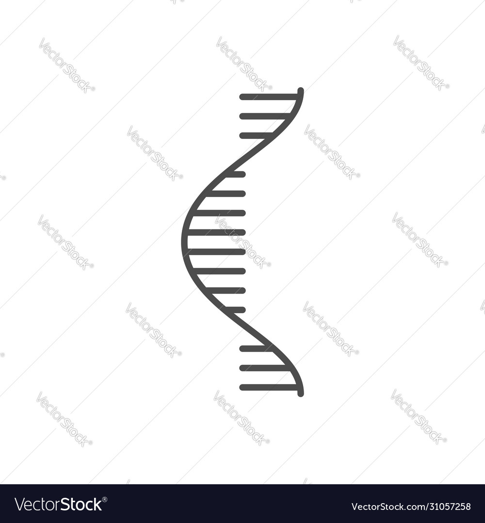Rna verwandte Dünne Linie Symbol Vector Image Rna verwandte Dünne Linie Symbol