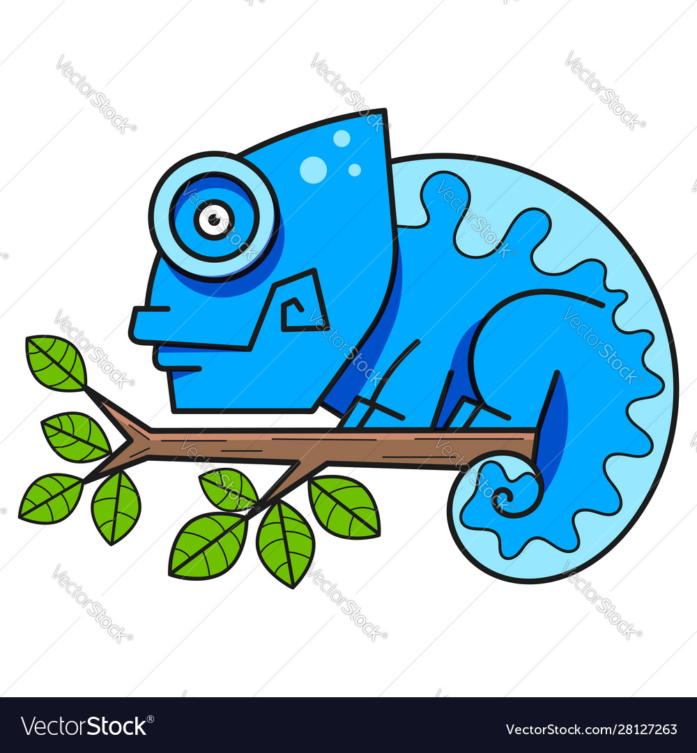 Chameleon on a branch suitable