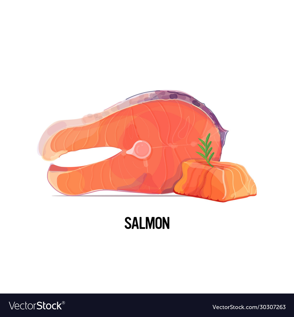 Fresh raw salmon steak slice with rosemary Vector Image