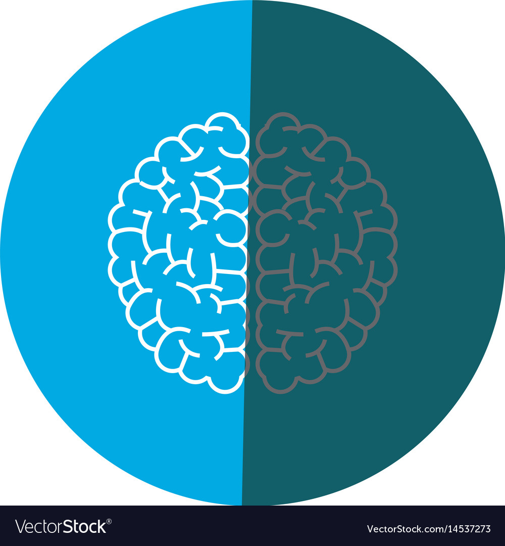 Brain human anatomy creativity icon circle