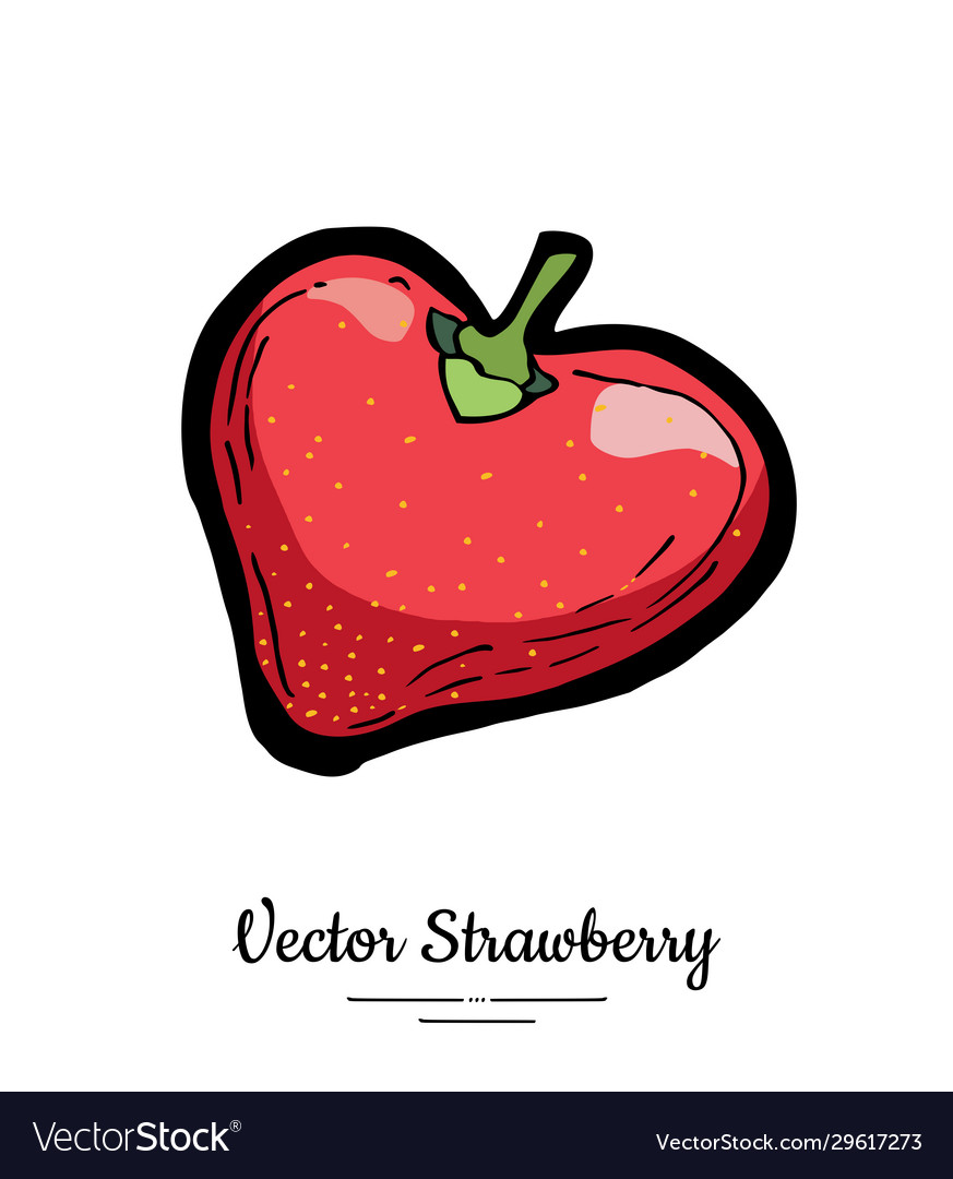 Strawberry isolated red berry hand drawn