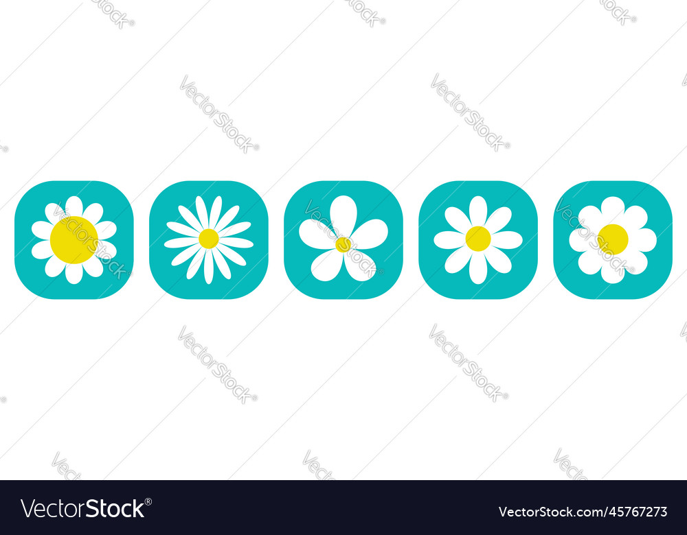 White camomile icon daisy chamomile set cute vector image White camomile icon daisy chamomile set cute