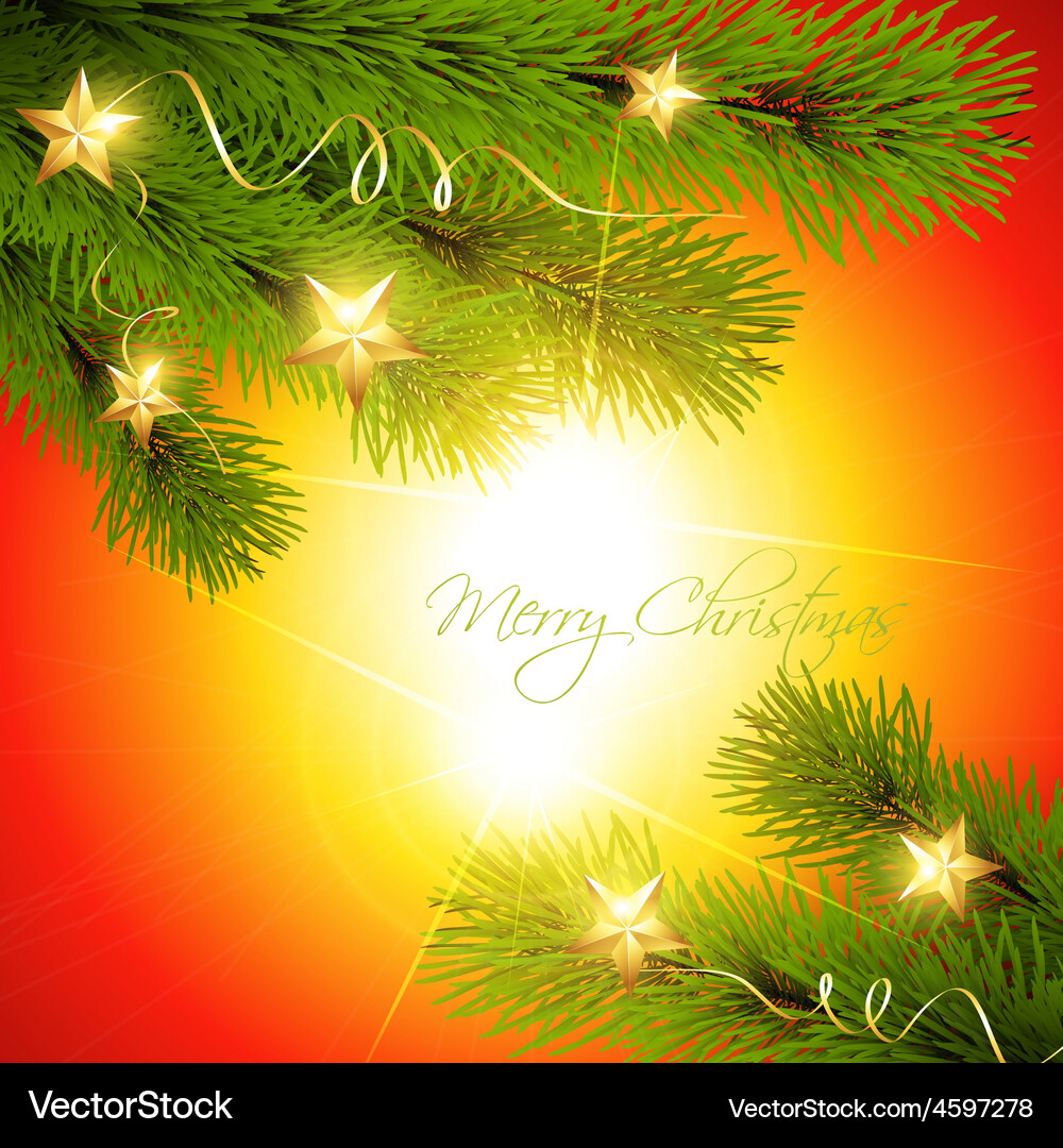 Christmas pine tree Royalty Free Vector Image - VectorStock