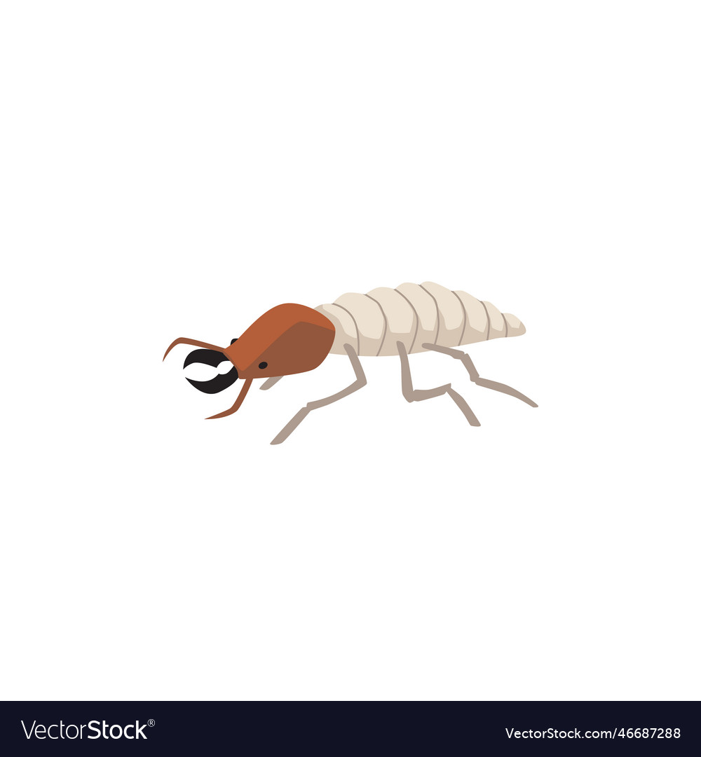 Cockroach pest insect icon or symbol flat Vector Image