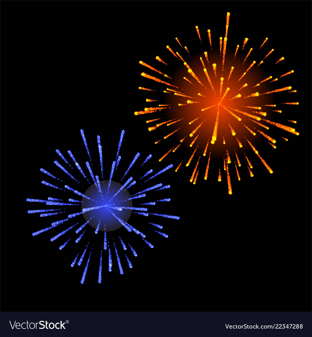 Firework vector image Firework