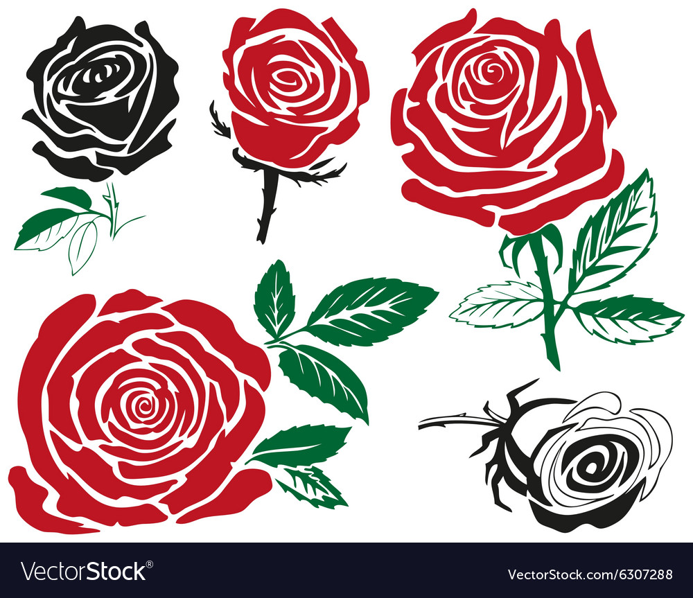 Red rose Royalty Free Vector Image - VectorStock