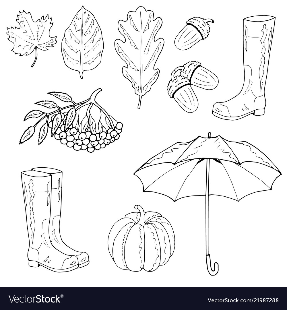 Set of autumn objects maple leaf an oak