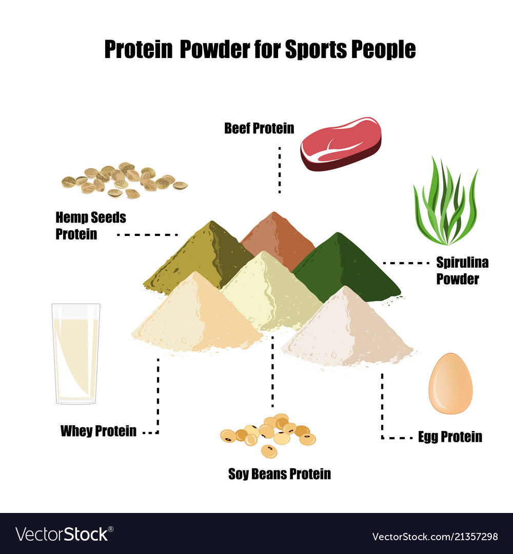 https://cdn4.vectorstock.com/i/1000x1000/72/98/protein-powder-infographic-set-vector-21357298.jpg