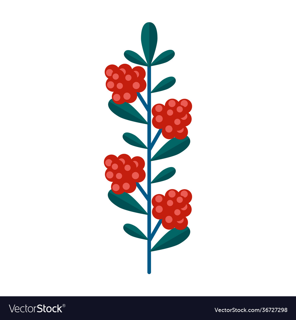Simple minimalistic green branch raspberry Vector Image Simple minimalistic green branch raspberry