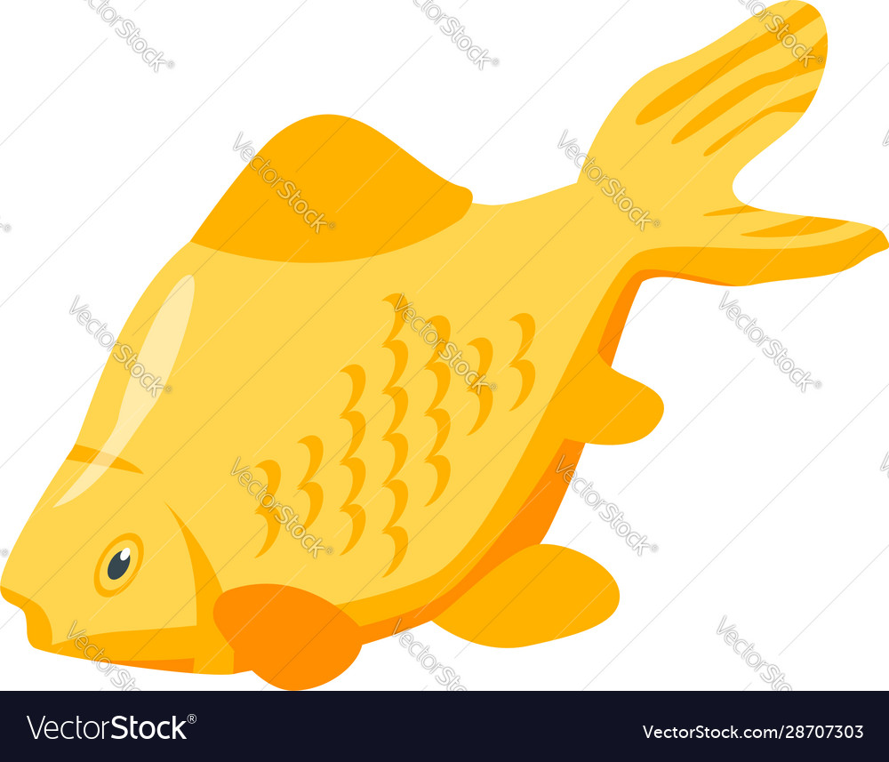 Big goldfish icon isometric style Royalty Free Vector Image Big goldfish icon isometric style Royalty Free Vector Image