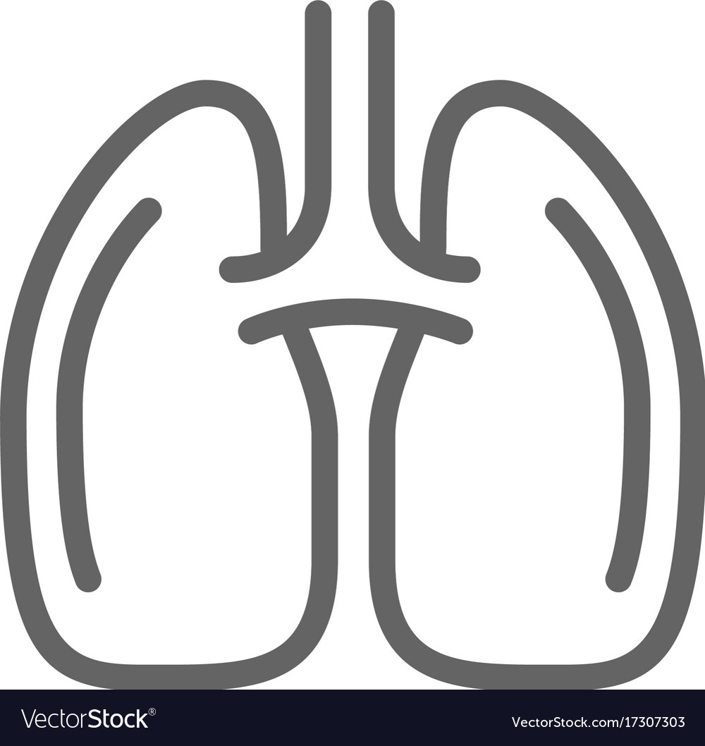 Simple lungs line icon symbol and sign Royalty Free Vector