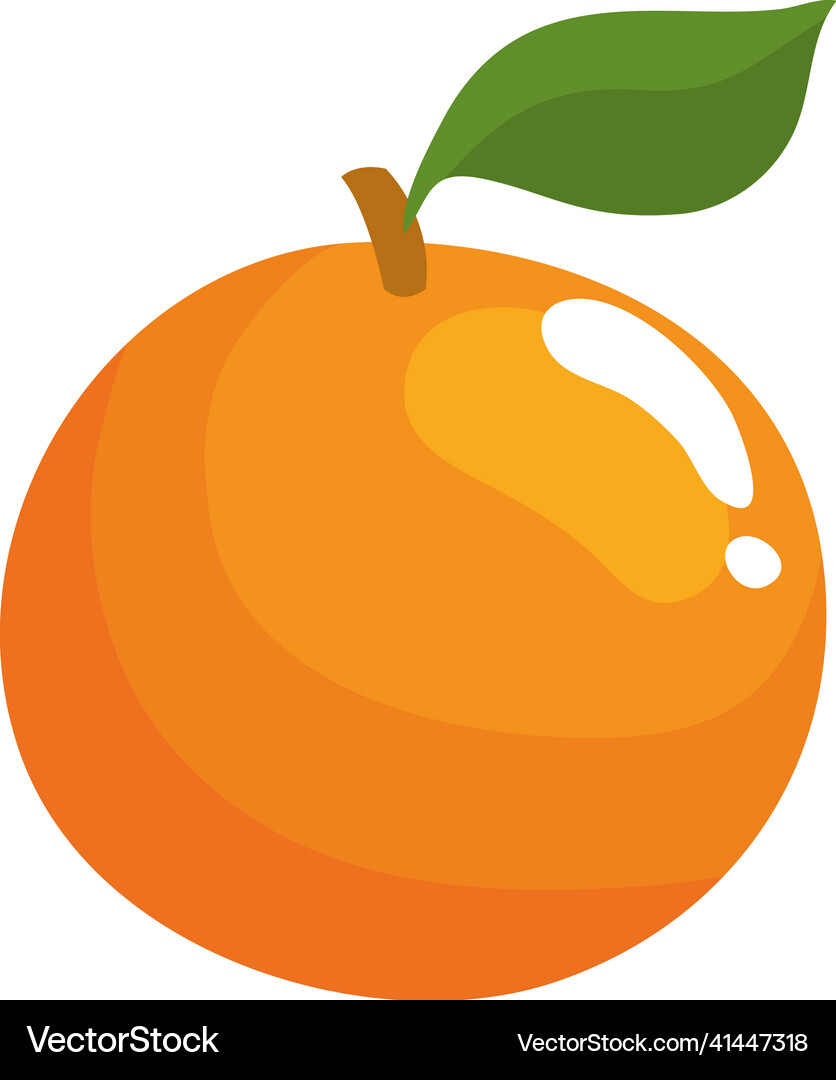 Fresh orange fruit Royalty Free Vector Image - VectorStock