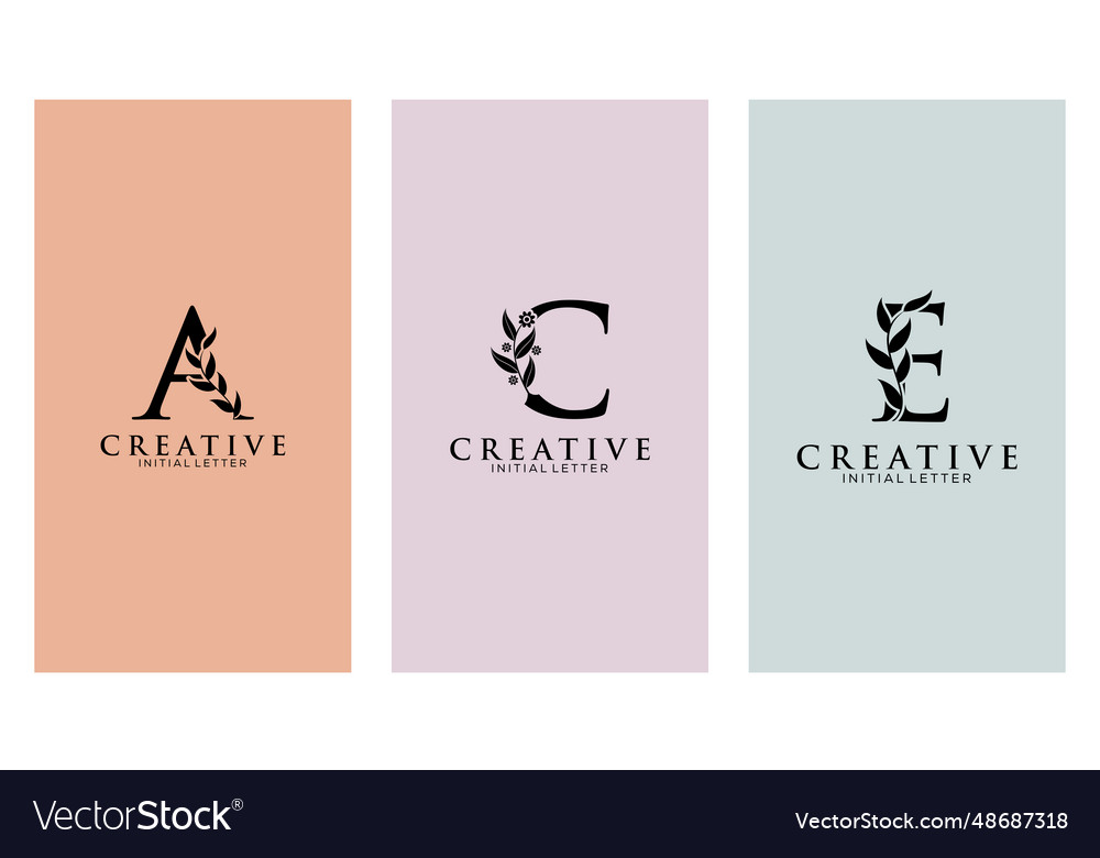 Set of botanical minimalistic initial letter a c
