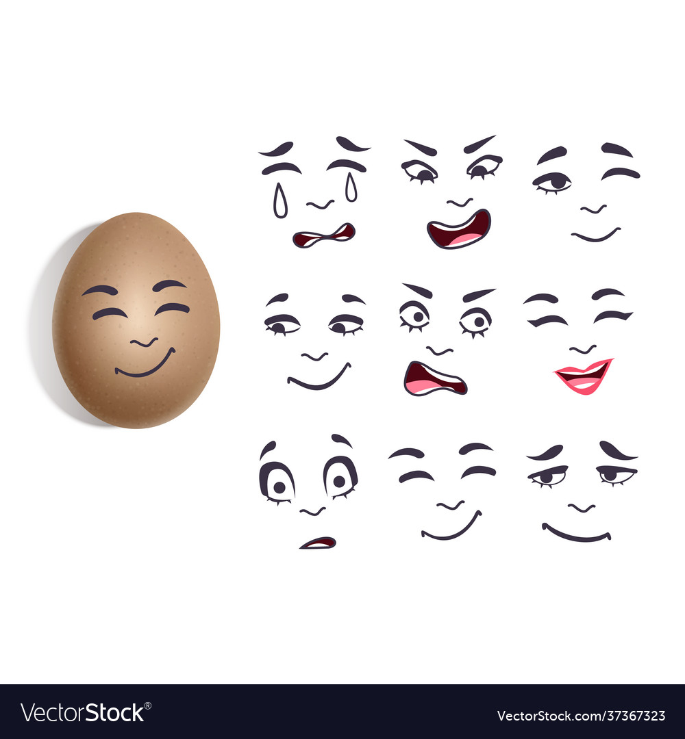 Eggs in a realistic style with different Vector Image Eggs in a realistic style with different