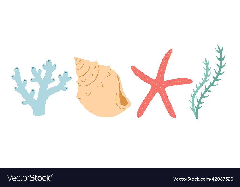Seshell coral simple color flat design
