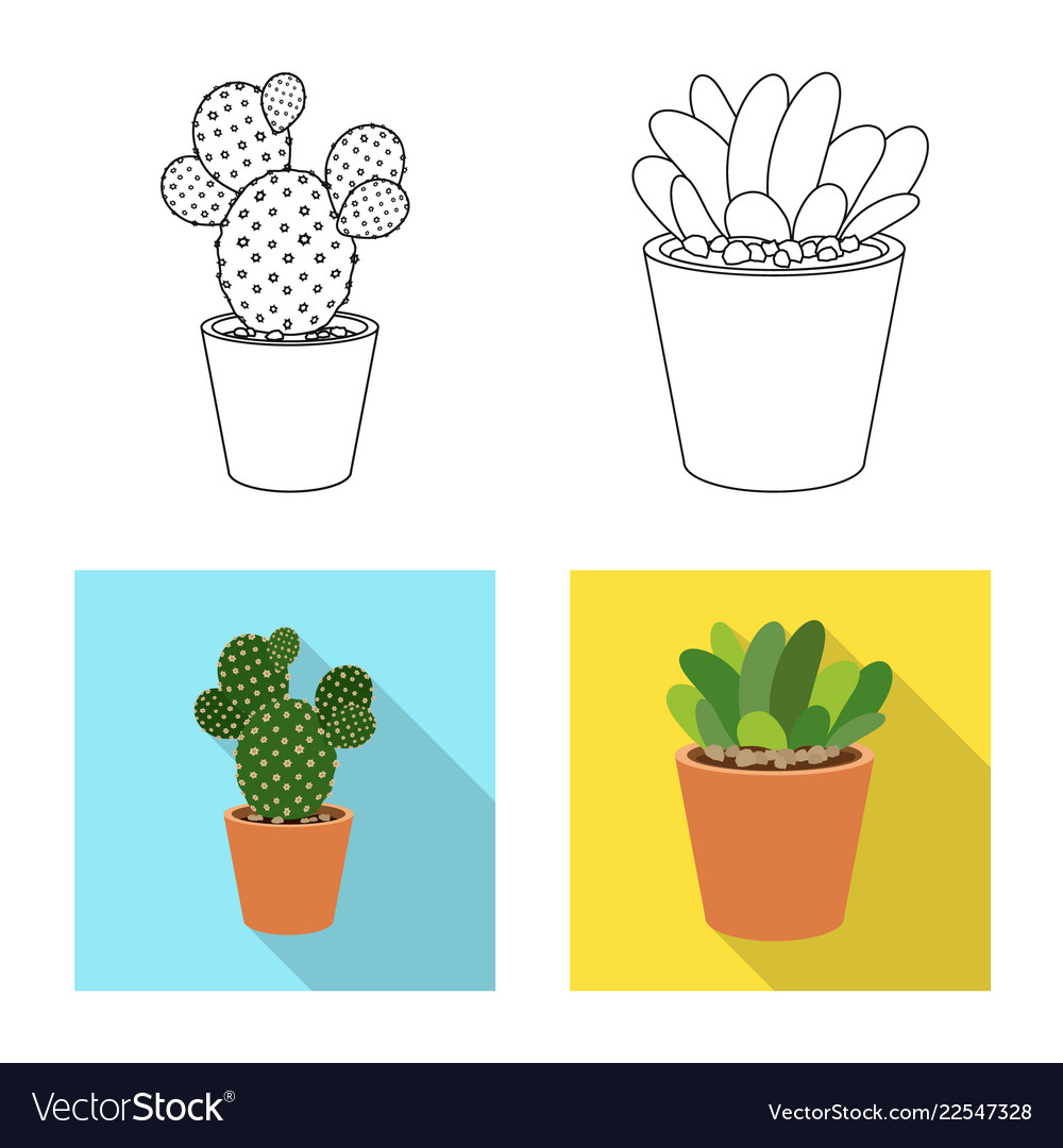 Isolated object of cactus and pot symbol set